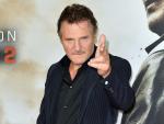 Liam Neeson Tapped to Voice a Villainous Raccoon in 'The Nut Job'
