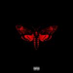 Lil Wayne Unveils 'I Am Not a Human Being II' Tracklist and Cover Art