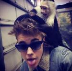 Justin Bieber's Pet Monkey Seized by German Customs