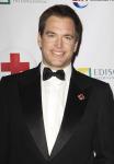 Michael Weatherly on Possible Baby Name: 'Some Are Very Controversial'