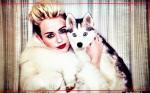 Miley Cyrus Shares Images From 'We Can't Stop' Video