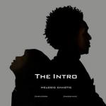 Willow Smith's Melodic Chaotic Debuts With 'The Intro'