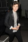 Harry Styles Will Include a Hotel Maid's Sex Noise in 1D's New Album