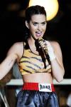 Katy Perry Closes 2013 MTV VMAs With 'Roar'