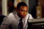 'Rizzoli and Isles' Halts Production in Light of Lee Thompson Young's Tragic Death