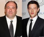 Emmy Awards Plans Special Tributes for James Gandolfini and Cory Monteith
