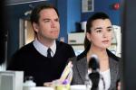 'NCIS' Will Deal With Tony/Ziva Romance Before Cote de Pablo's Farewell