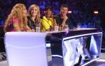 'The X Factor (US)' Reveals Top 40 and Judges' Categories for Season 3