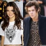 Kendall Jenner Says Harry Styles Is 'Cool'