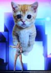 Miley Cyrus Performed With Cat at AMAs After Getting Banned From Showing Too Much Skin