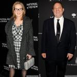 Meryl Streep and Weinstein Company Plan Anti-NRA Movie 'The Senator's Wife'