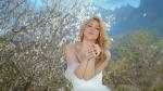 Shakira Plays a Runaway Bride in 'Empire' Music Video