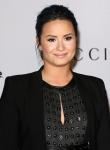 Demi Lovato's Security Guard Bitten by Stage Invader