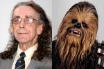 Peter Mayhew to Reprise His Role as Chewbacca in 'Star Wars Episode 7'