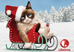 Grumpy Cat Gets Her Own Holiday Movie on Lifetime
