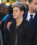 Niall Horan Injured After Fan Throws Shoe Onstage at One Direction's Amsterdam Show