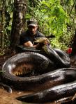 Discovery Special to Show Man Being 'Eaten Alive' by Anaconda