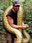 'Eaten Alive' Star Defends Anaconda Stunt