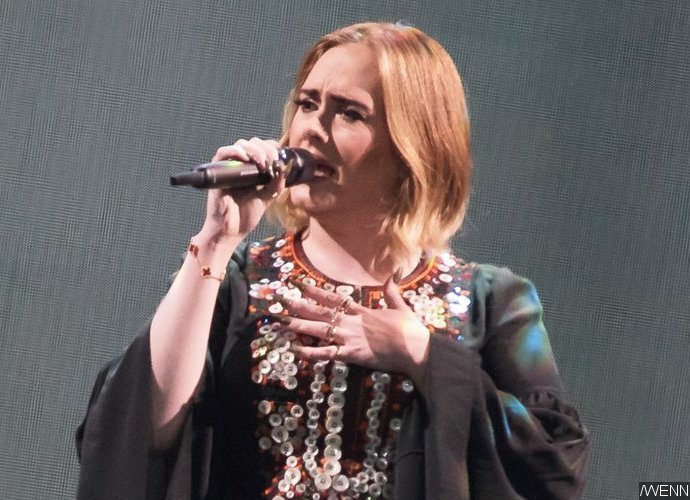 Adele Doesn't Care About Brad Pitt and Angelina Jolie's Split, She Clarifies