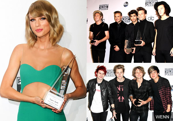 American Music Awards 2014: Taylor Swift Wins First Dick Clark Award, 1D Dominates Winners List