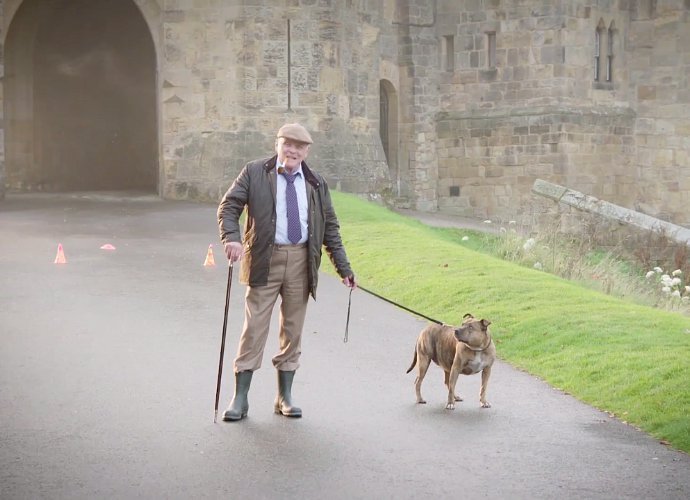 Watch Anthony Hopkins Film Scene With Freya the Loneliest Dog for 'Transformers: The Last Knight'