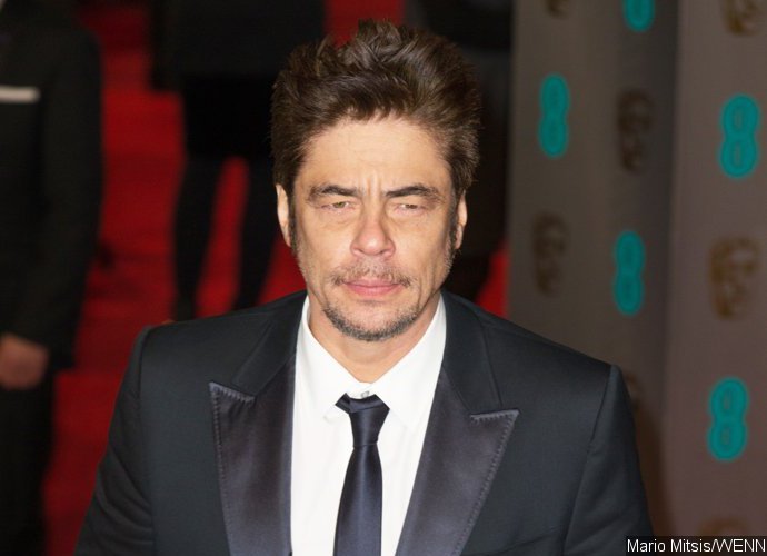 Benicio Del Toro in Talks to Star in Shane Black's New 'Predator' Movie