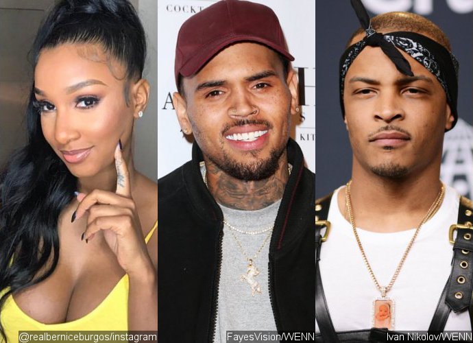 Jealous Bernice Burgos Wants Chris Brown to Replace T.I. Amid Tiny Baby Rumors
