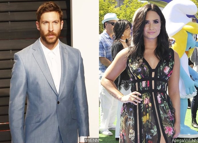 Publicly Flirting? Calvin Harris Likes Demi Lovato's Sexy Pic on Instagram