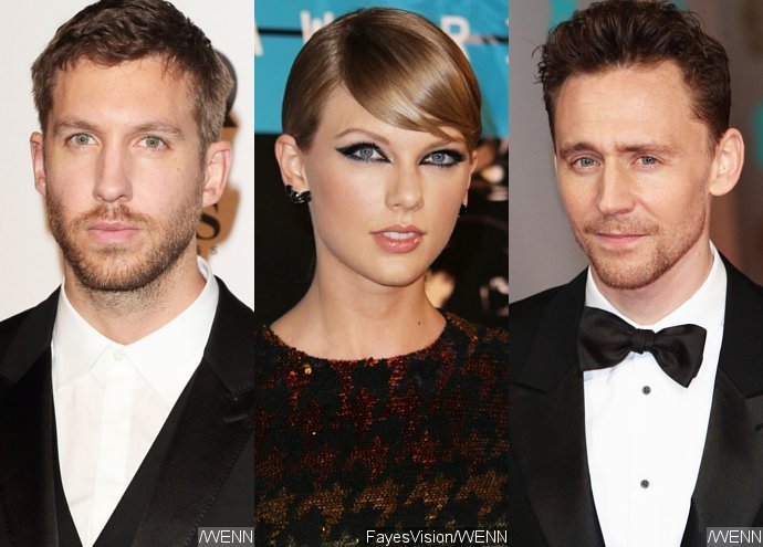 'Single' Calvin Harris Not Surprised by Taylor Swift and Tom Hiddleston's Short-Lived Romance