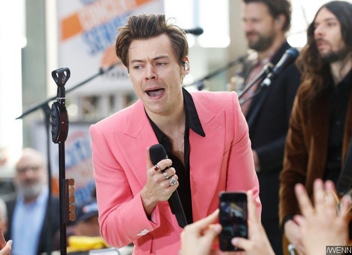 Harry Styles Sparks Baby Rumors With His Song 'Kiwi'
