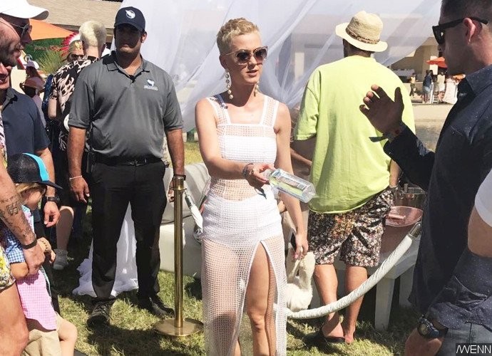 Katy Perry Lands in Hot Water for Posting Picture of Hindu Goddess Kaali to Express Her Mood