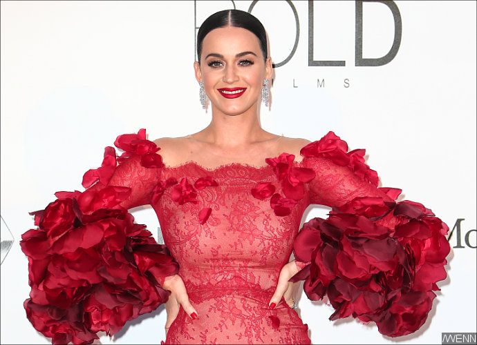Katy Perry's New Album in the Works, Tour to Follow in 2017