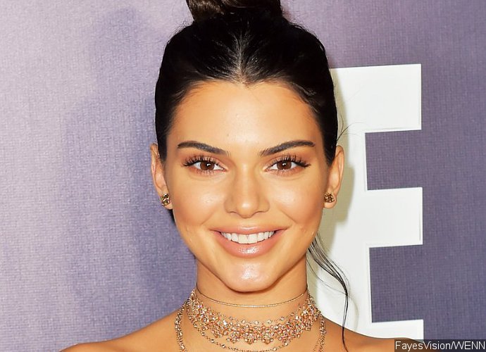 Kendall Jenner Strips Down to Racy Lingerie During Miami Photoshoot