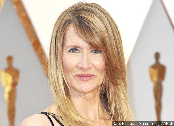 Details of Laura Dern's Character in 'Star Wars: The Last Jedi' Are Unveiled