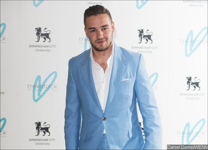 Is Liam Payne Ready to Launch His Solo Career? Singer 'Registers' New Song 'Myself'