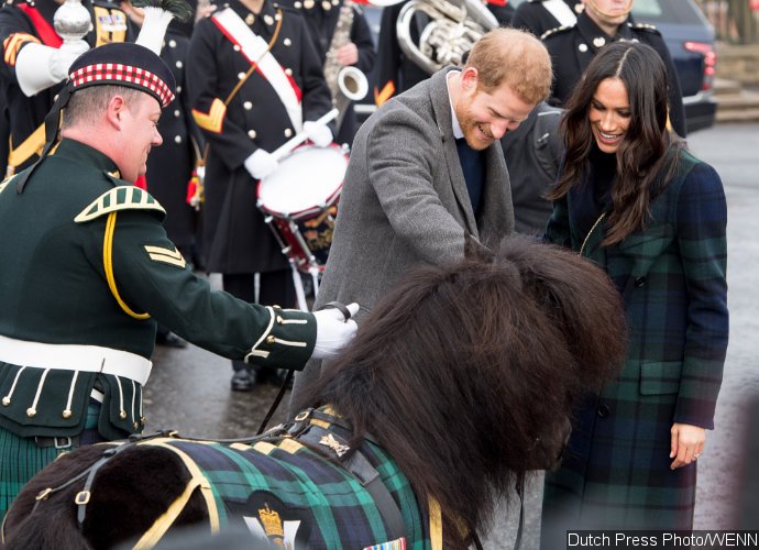Meghan Markle Laughs While Shetland Pony Bites Prince Harry During Edinburgh Trip