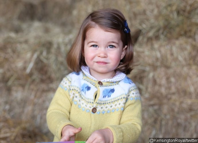 Princess Charlotte Rocks Longer Hair in New Official Picture. See How Much She's Grown Up