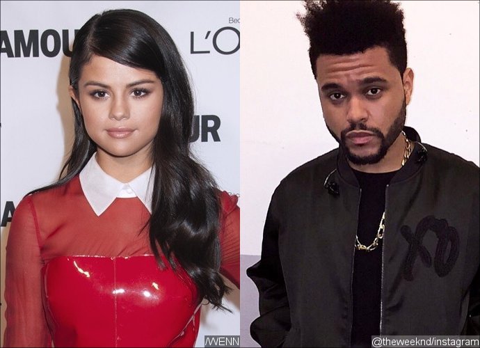Selena Gomez Ready to Introduce The Weeknd to Her Family