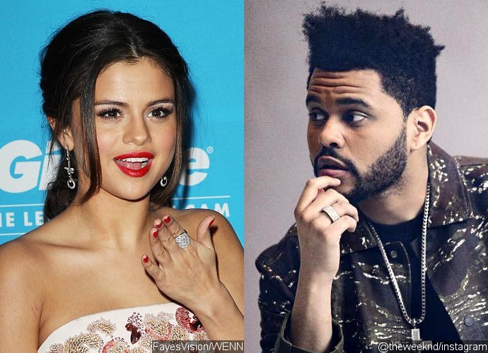 Selena Gomez Spends $30K for Beau The Weeknd's Birthday Bash