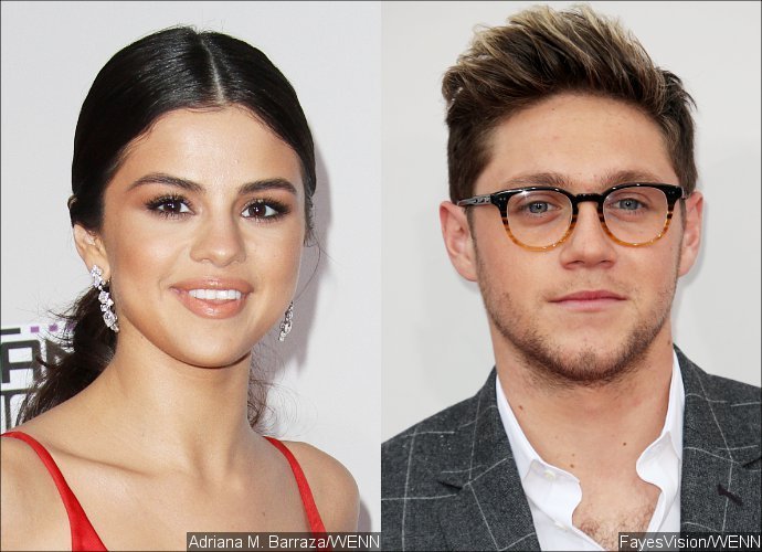 Selena Gomez Spotted Hugging Niall Horan at AMAs - See the Pics