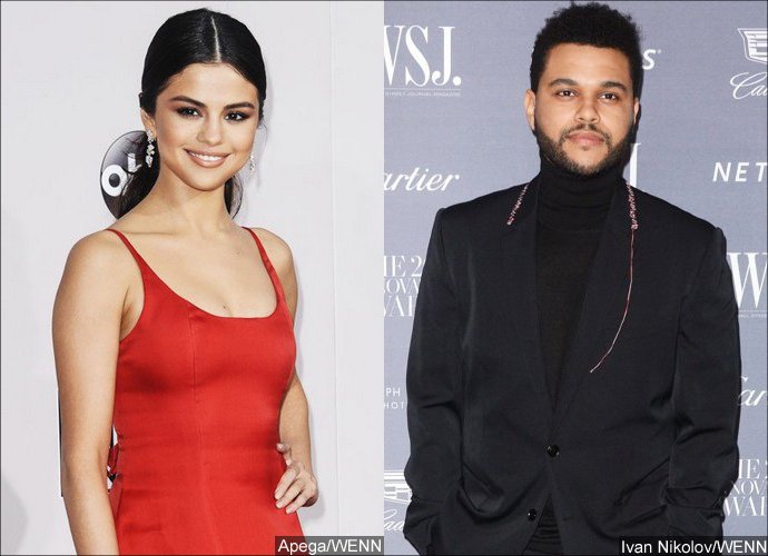 Selena Gomez Sweetly Calls The Weeknd 'Baby' on Instagram