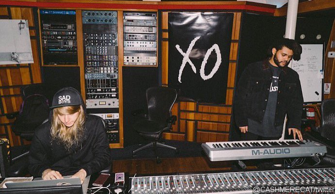 The Weeknd Shares Snippet of His Cashmere Cat Collaboration 'Wild Love'