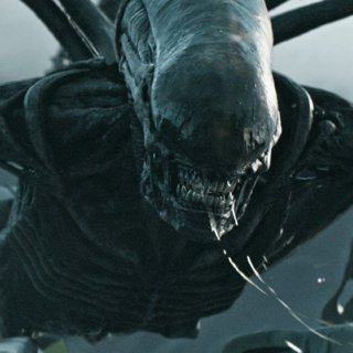 Alien: Covenant Picture 40