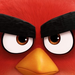 Angry Birds Picture 8