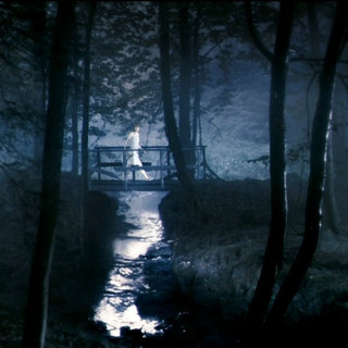 A scene from IFC Films' Antichrist (2009)