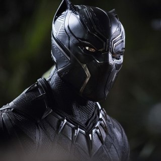 Black Panther Picture 30