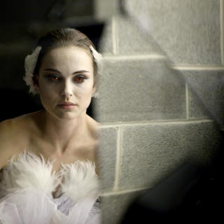 Black Swan Picture 5