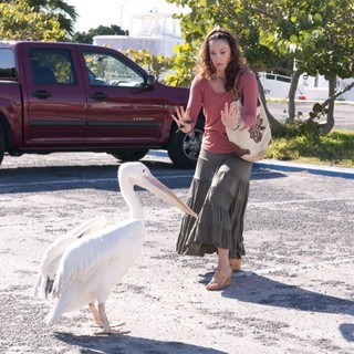 Dolphin Tale Picture 30