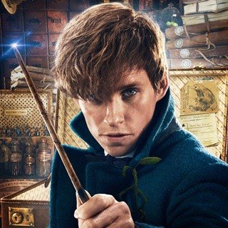 Fantastic Beasts and Where to Find Them Picture 14