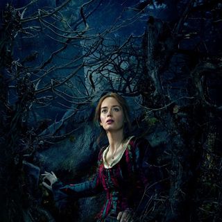 Into the Woods Picture 19